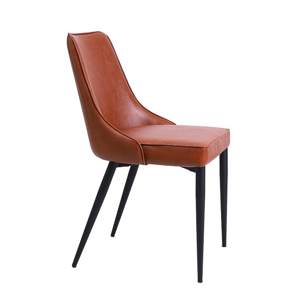 Robin modern dining chair